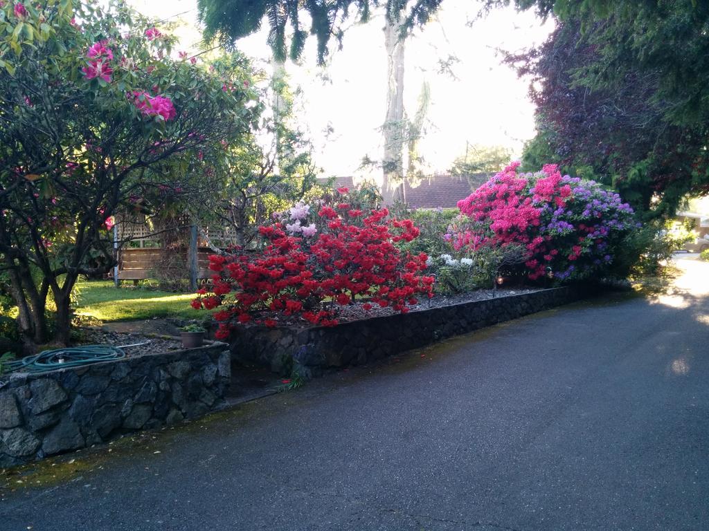 Salty Towers Ocean Front Cottages Sooke Extérieur photo