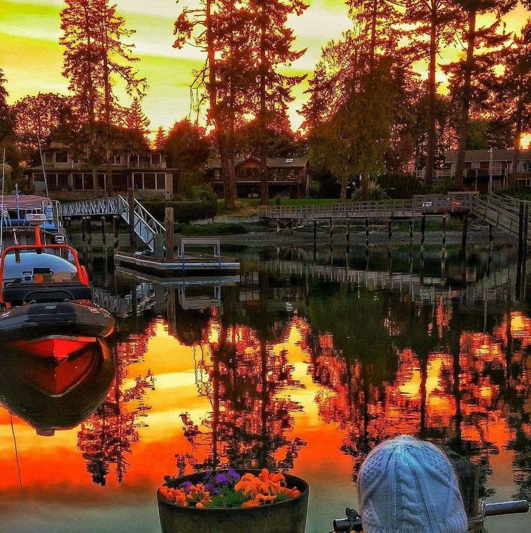 Salty Towers Ocean Front Cottages Sooke Extérieur photo
